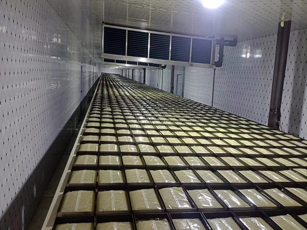 °áÔË»úеÈ˳§¼ÒÅÅÃû°ñ ÉÏÏÂÁϰáÔË»úеÈËͼƬ